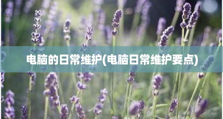 电脑的日常维护(电脑日常维护要点)