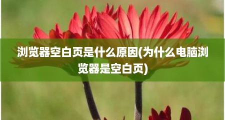 浏览器空白页是什么原因(为什么电脑浏览器是空白页)