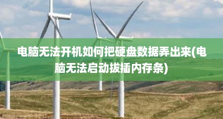 电脑无法开机如何把硬盘数据弄出来(电脑无法启动拔插内存条)
