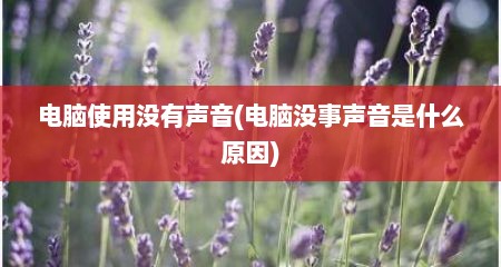 电脑使用没有声音(电脑没事声音是什么原因)