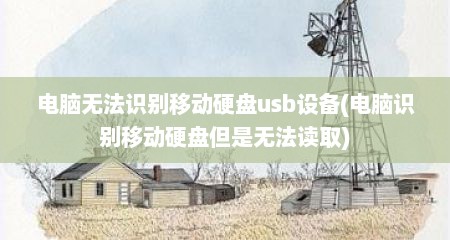 电脑无法识别移动硬盘usb设备(电脑识别移动硬盘但是无法读取)