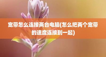宽带怎么连接两台电脑(怎么把两个宽带的速度连接到一起)