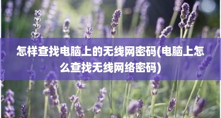 怎样查找电脑上的无线网密码(电脑上怎么查找无线网络密码)