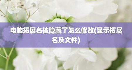 电脑拓展名被隐藏了怎么修改(显示拓展名及文件)