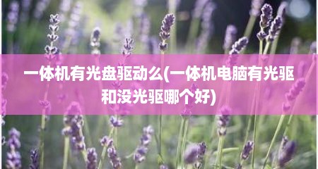 一体机有光盘驱动么(一体机电脑有光驱和没光驱哪个好)