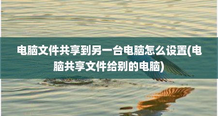 电脑文件共享到另一台电脑怎么设置(电脑共享文件给别的电脑)