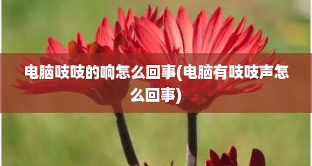 电脑吱吱的响怎么回事(电脑有吱吱声怎么回事)