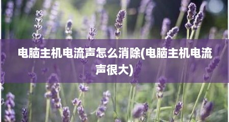 电脑主机电流声怎么消除(电脑主机电流声很大)