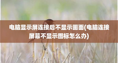 电脑显示屏连接后不显示画面(电脑连接屏幕不显示图标怎么办)