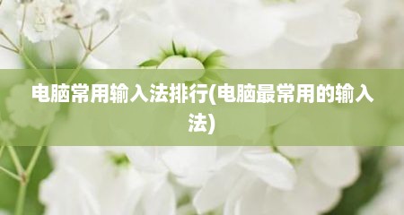电脑常用输入法排行(电脑最常用的输入法)