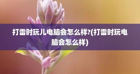 打雷时玩儿电脑会怎么样?(打雷时玩电脑会怎么样)