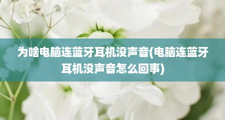 为啥电脑连蓝牙耳机没声音(电脑连蓝牙耳机没声音怎么回事)