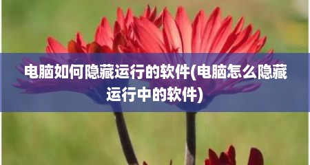 电脑如何隐藏运行的软件(电脑怎么隐藏运行中的软件)