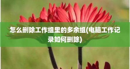 怎么删除工作组里的多余组(电脑工作记录如何删除)
