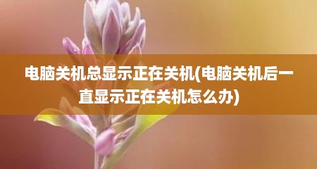 电脑关机总显示正在关机(电脑关机后一直显示正在关机怎么办)