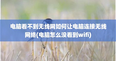 电脑看不到无线网如何让电脑连接无线网络(电脑怎么没看到wifi)