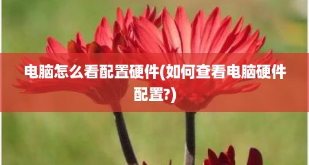 电脑怎么看配置硬件(如何查看电脑硬件配置?)