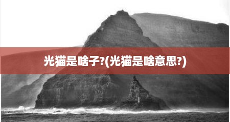 光猫是啥子?(光猫是啥意思?)