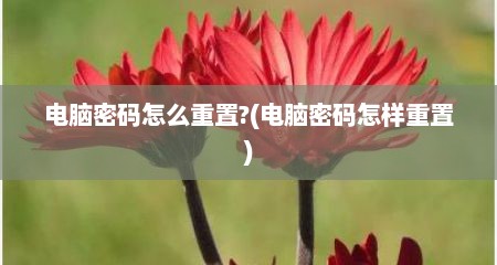 电脑密码怎么重置?(电脑密码怎样重置)