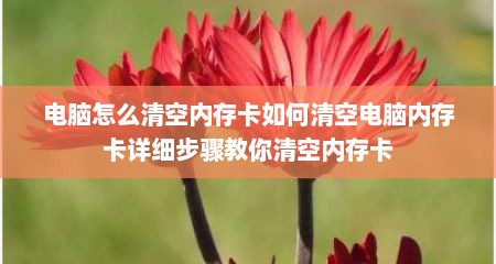 电脑怎么清空内存卡如何清空电脑内存卡详细步骤教你清空内存卡