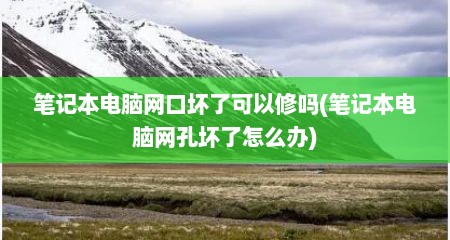 笔记本电脑网口坏了可以修吗(笔记本电脑网孔坏了怎么办)