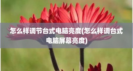 怎么样调节台式电脑亮度(怎么样调台式电脑屏幕亮度)