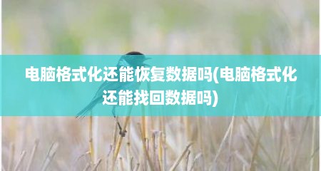 电脑格式化还能恢复数据吗(电脑格式化还能找回数据吗)