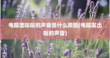 电脑里嗡嗡的声音是什么原因(电脑发出嗡的声音)