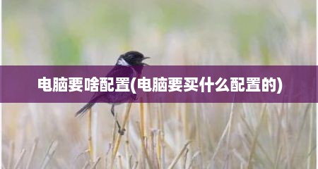 电脑要啥配置(电脑要买什么配置的)