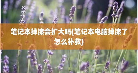 笔记本掉漆会扩大吗(笔记本电脑掉漆了怎么补救)