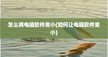 怎么将电脑软件变小(如何让电脑软件变小)