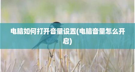 电脑如何打开音量设置(电脑音量怎么开启)