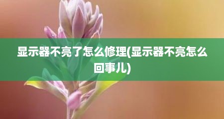 显示器不亮了怎么修理(显示器不亮怎么回事儿)
