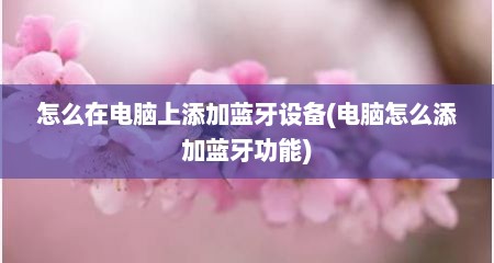 怎么在电脑上添加蓝牙设备(电脑怎么添加蓝牙功能)