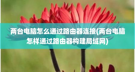 两台电脑怎么通过路由器连接(两台电脑怎样通过路由器构建局域网)
