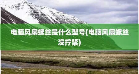 电脑风扇螺丝是什么型号(电脑风扇螺丝没拧紧)