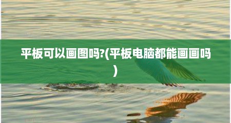 平板可以画图吗?(平板电脑都能画画吗)