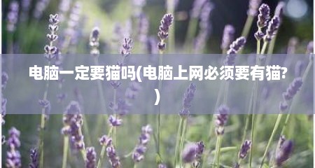电脑一定要猫吗(电脑上网必须要有猫?)