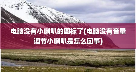 电脑没有小喇叭的图标了(电脑没有音量调节小喇叭是怎么回事)
