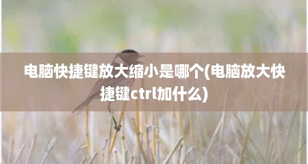 电脑快捷键放大缩小是哪个(电脑放大快捷键ctrl加什么)