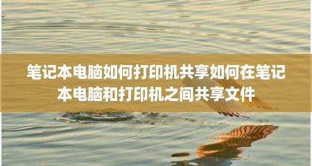 笔记本电脑如何打印机共享如何在笔记本电脑和打印机之间共享文件