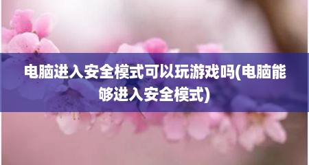 电脑进入安全模式可以玩游戏吗(电脑能够进入安全模式)