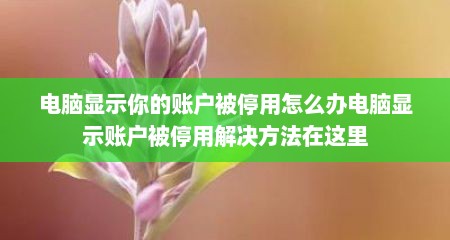 电脑显示你的账户被停用怎么办电脑显示账户被停用解决方法在这里