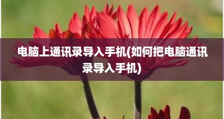 电脑上通讯录导入手机(如何把电脑通讯录导入手机)