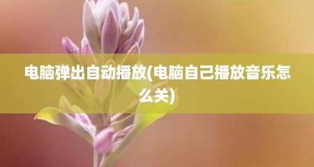 电脑弹出自动播放(电脑自己播放音乐怎么关)