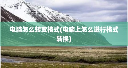 电脑怎么转变格式(电脑上怎么进行格式转换)