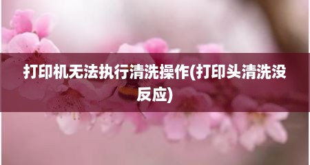 打印机无法执行清洗操作(打印头清洗没反应)