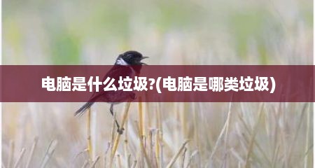 电脑是什么垃圾?(电脑是哪类垃圾)