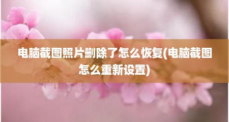 电脑截图照片删除了怎么恢复(电脑截图怎么重新设置)