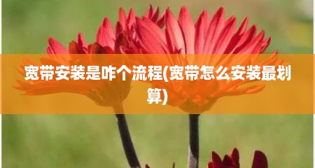 宽带安装是咋个流程(宽带怎么安装最划算)
